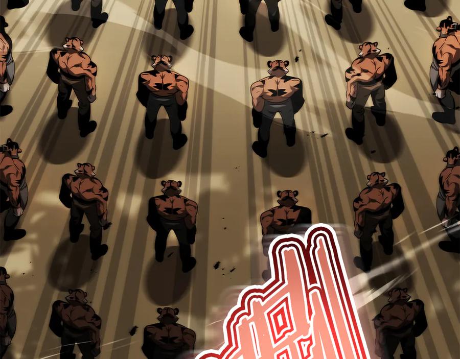 251.jpg