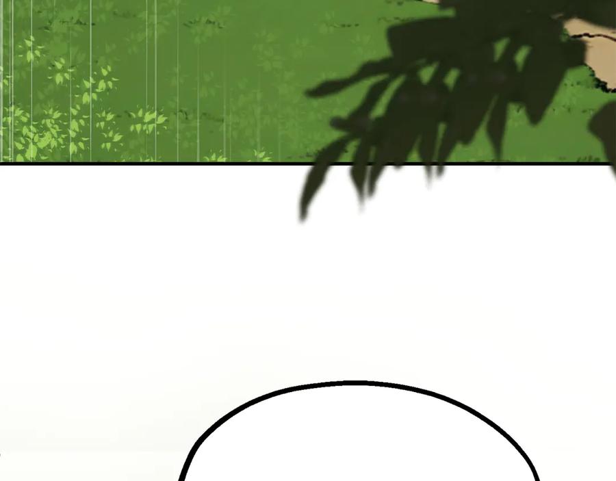 242.jpg