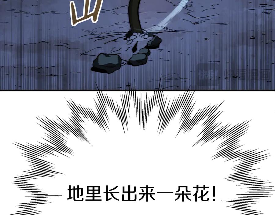 224.jpg