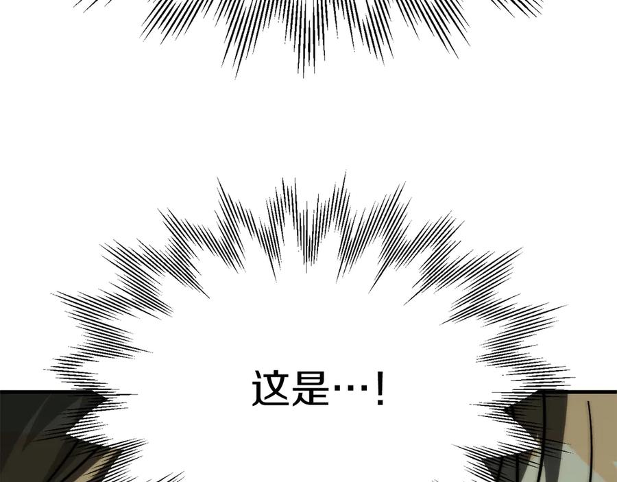231.jpg