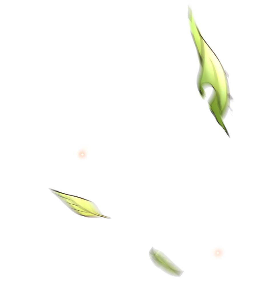36.jpg