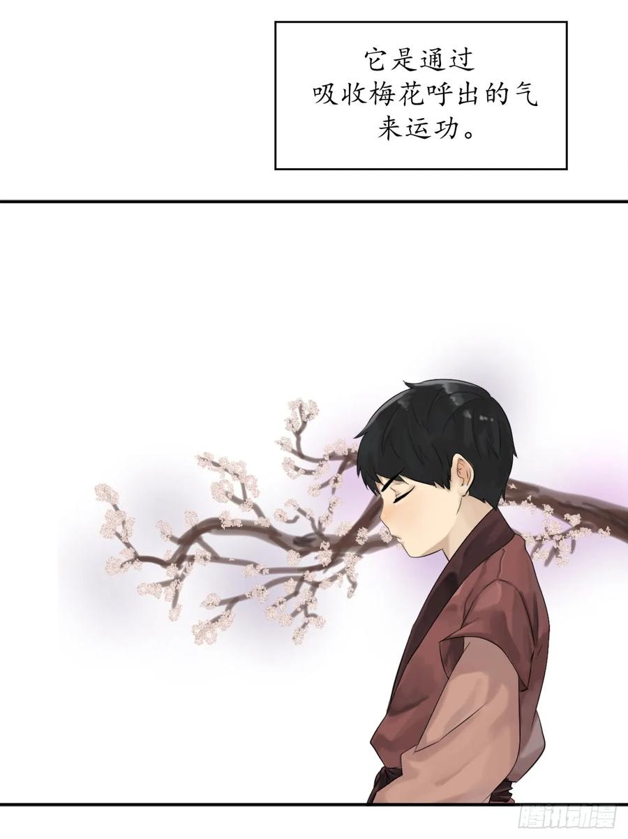 2.玄妙功法-废柴重生之我要当大佬-DreamToon,多蕴漫文化（第22张）