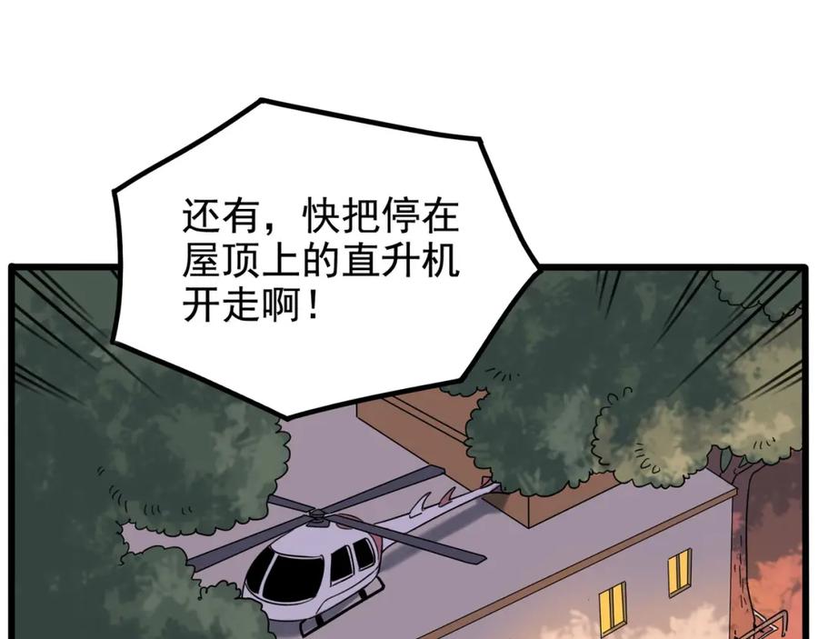65.jpg
