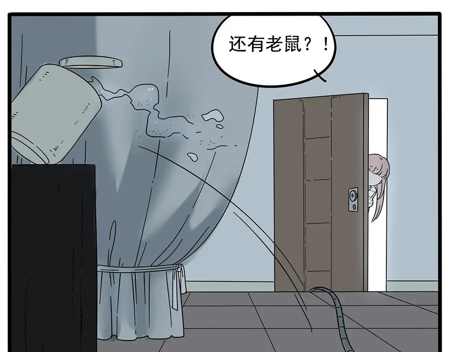 47.jpg