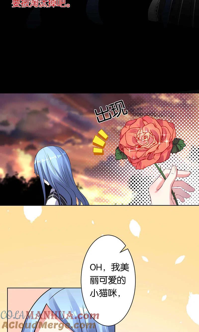 17.jpg