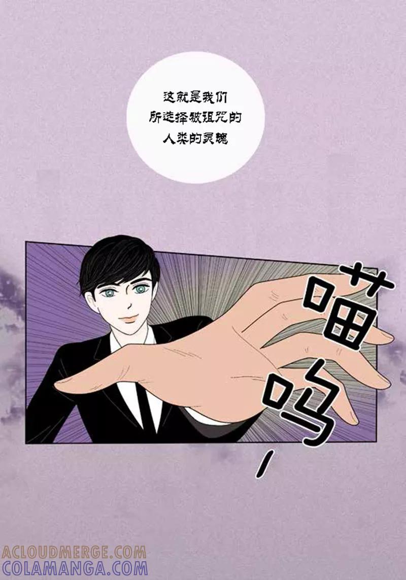 第49话他回来了-猫王子-蓝文文化（第7张）