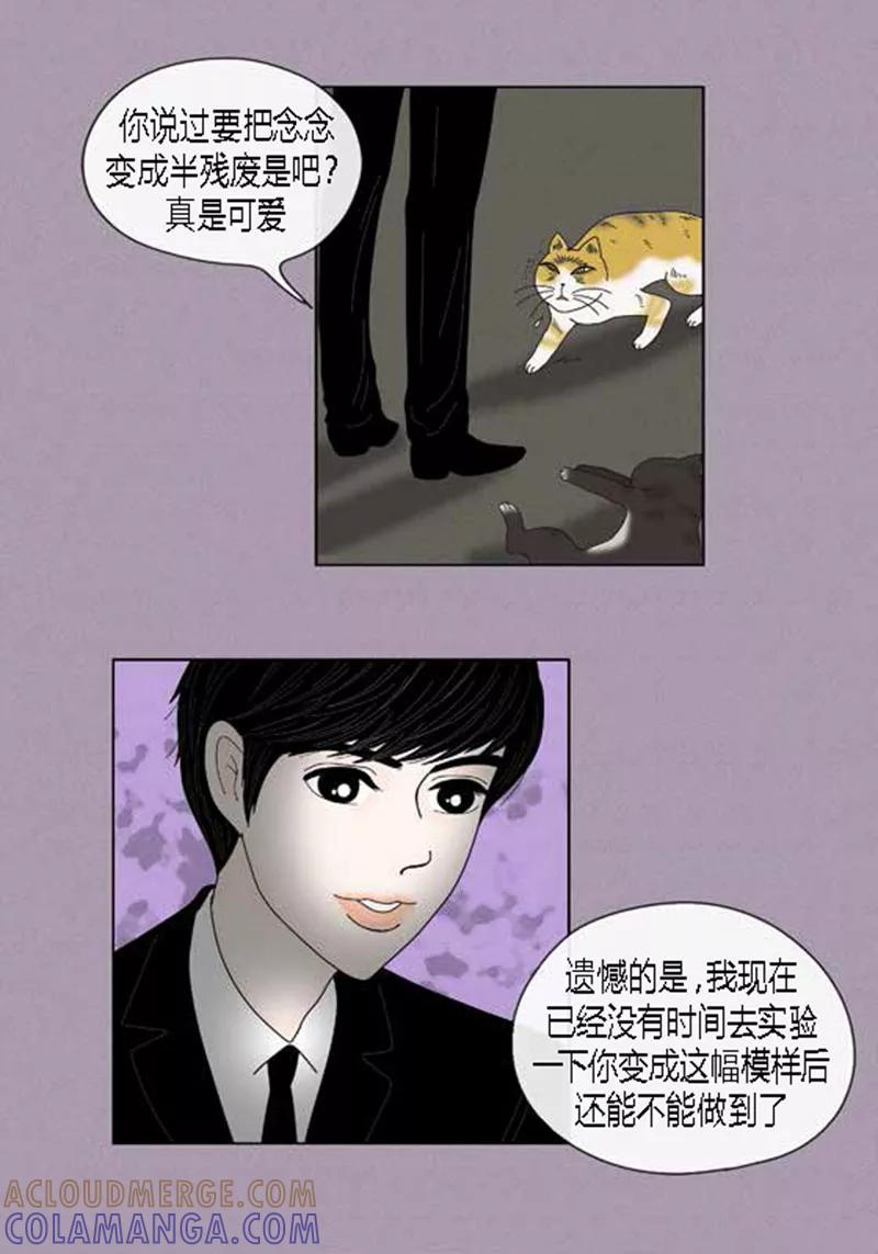 第49话他回来了-猫王子-蓝文文化（第3张）