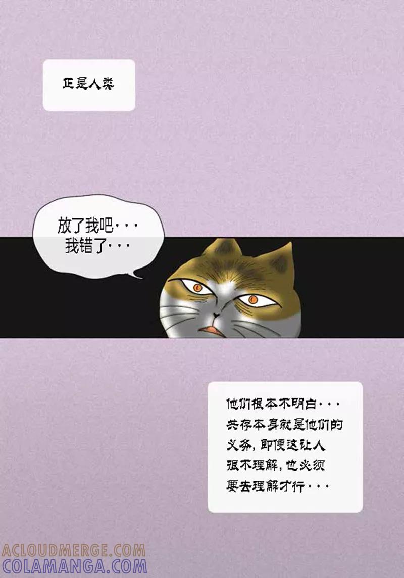 第49话他回来了-猫王子-蓝文文化（第5张）
