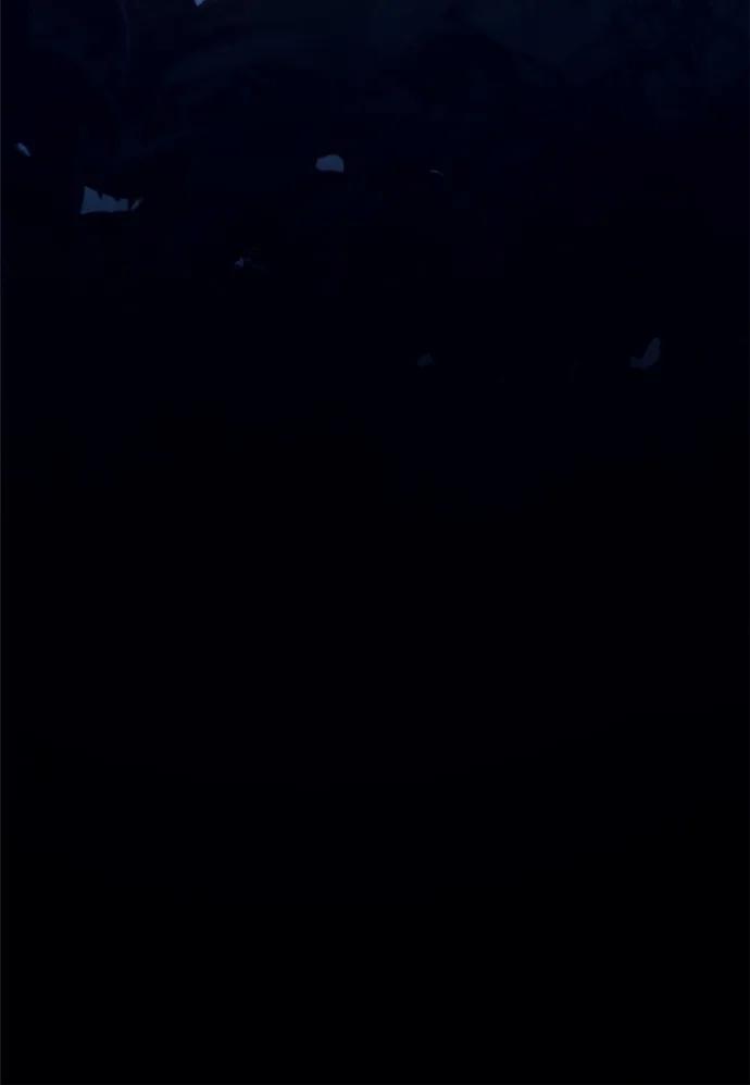 94.jpg