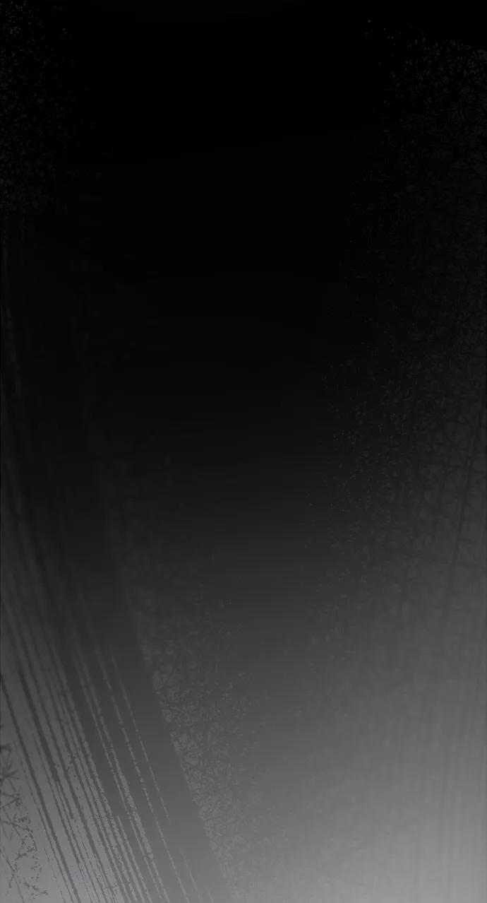 95.jpg