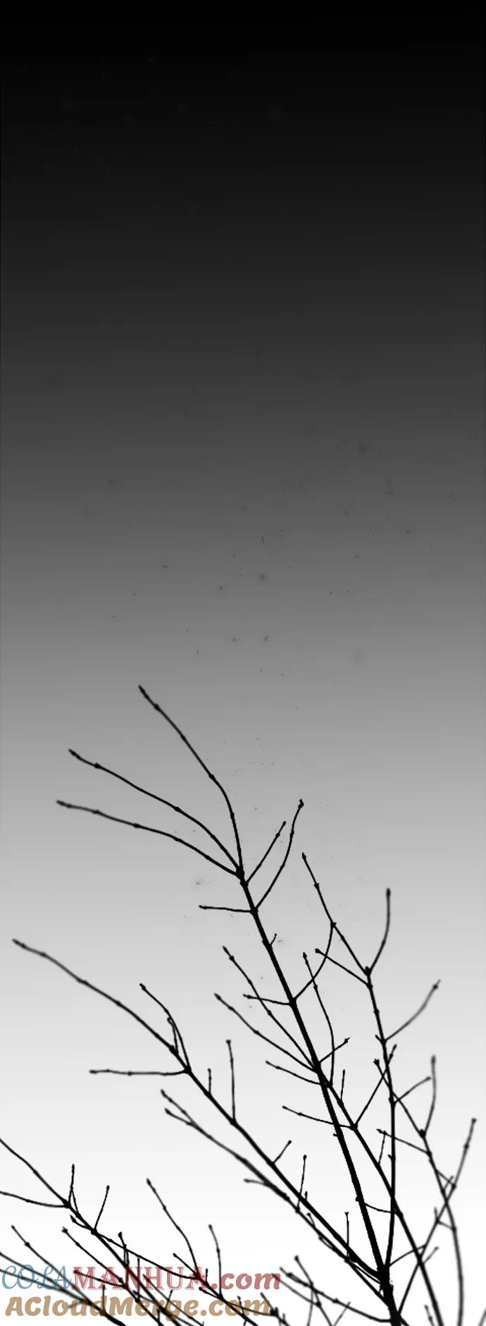 117.jpg