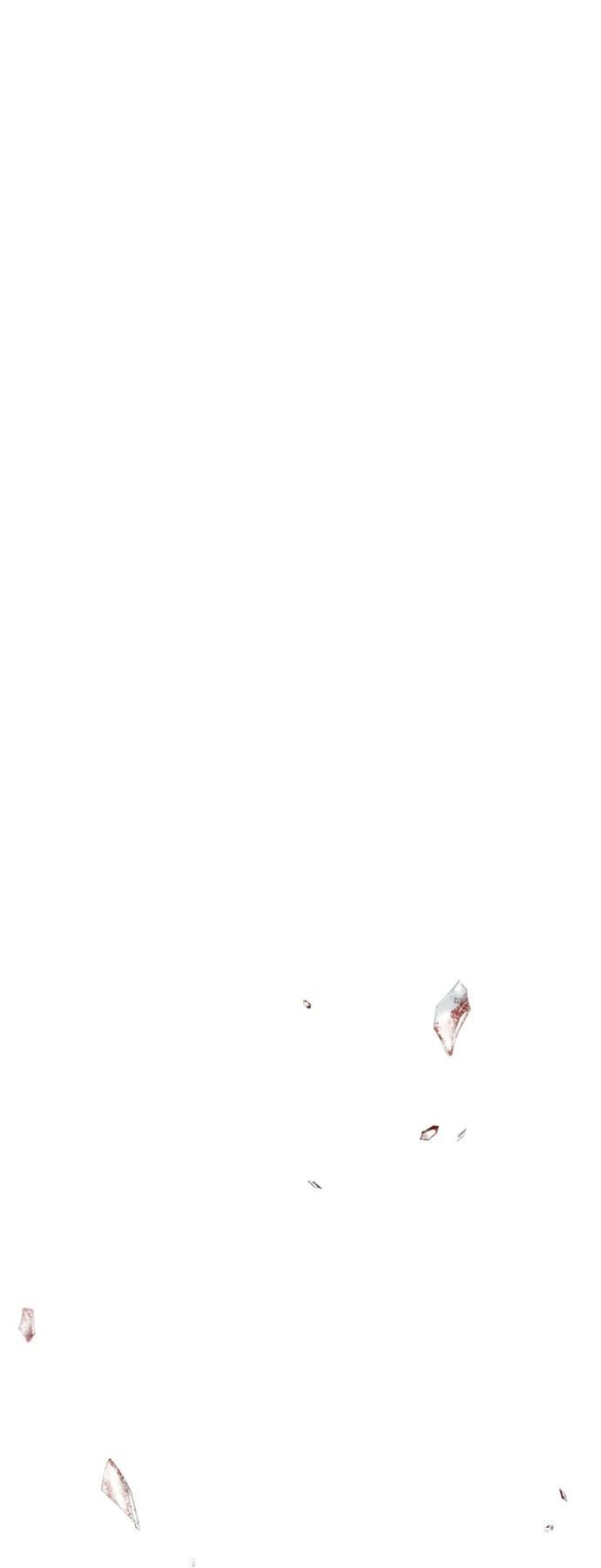 86.jpg