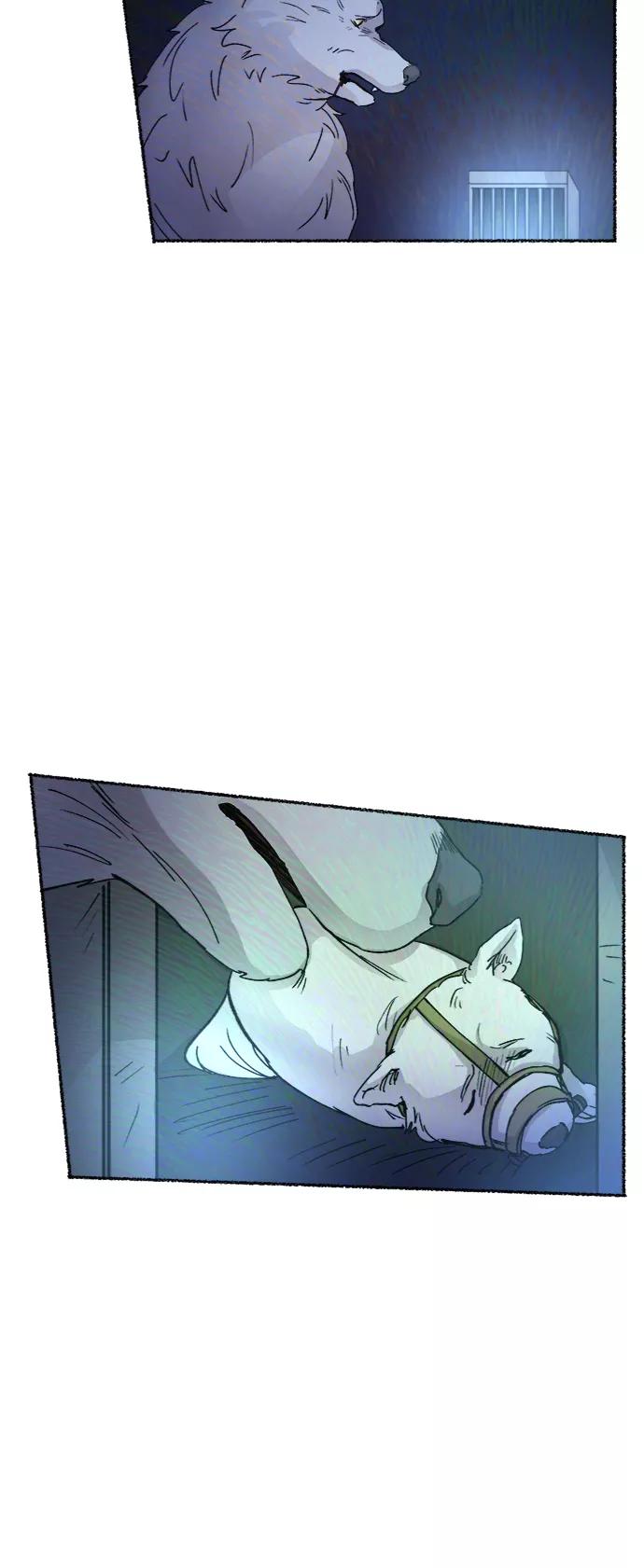 104.jpg