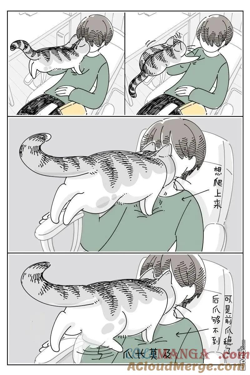 第237话-关于养猫我一直是新手-キュルZ（第2张）