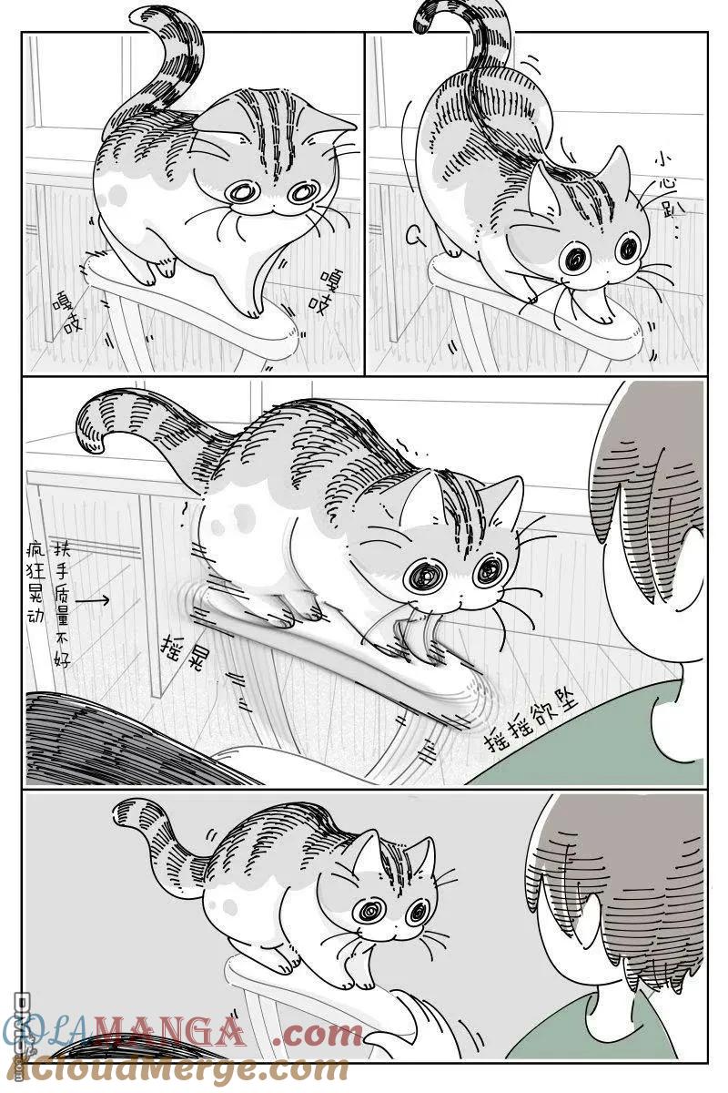 第237话-关于养猫我一直是新手-キュルZ（第1张）