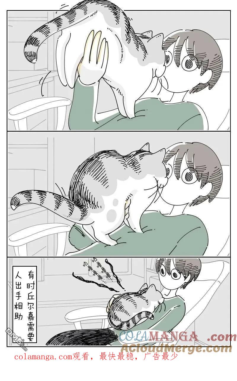 第237话-关于养猫我一直是新手-キュルZ（第3张）