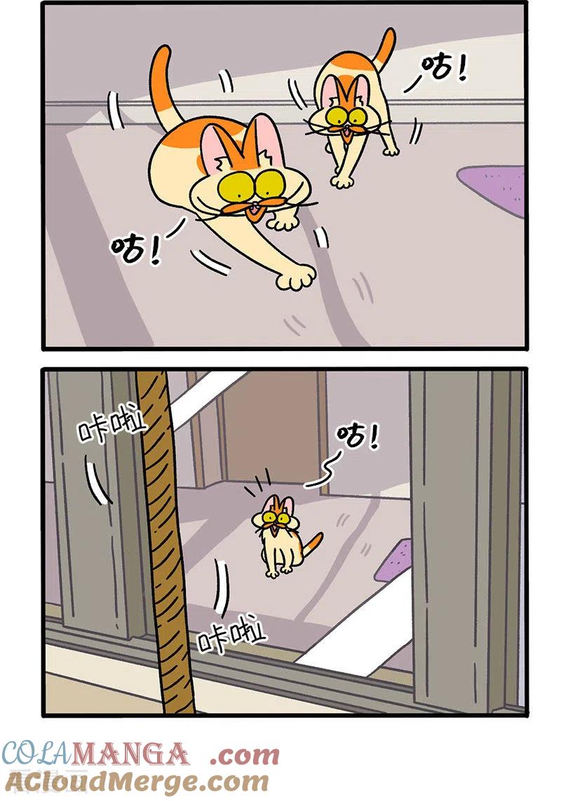 第54话窗外怪影-阿满和麦茶-新漫画 日胖大海寺（第2张）