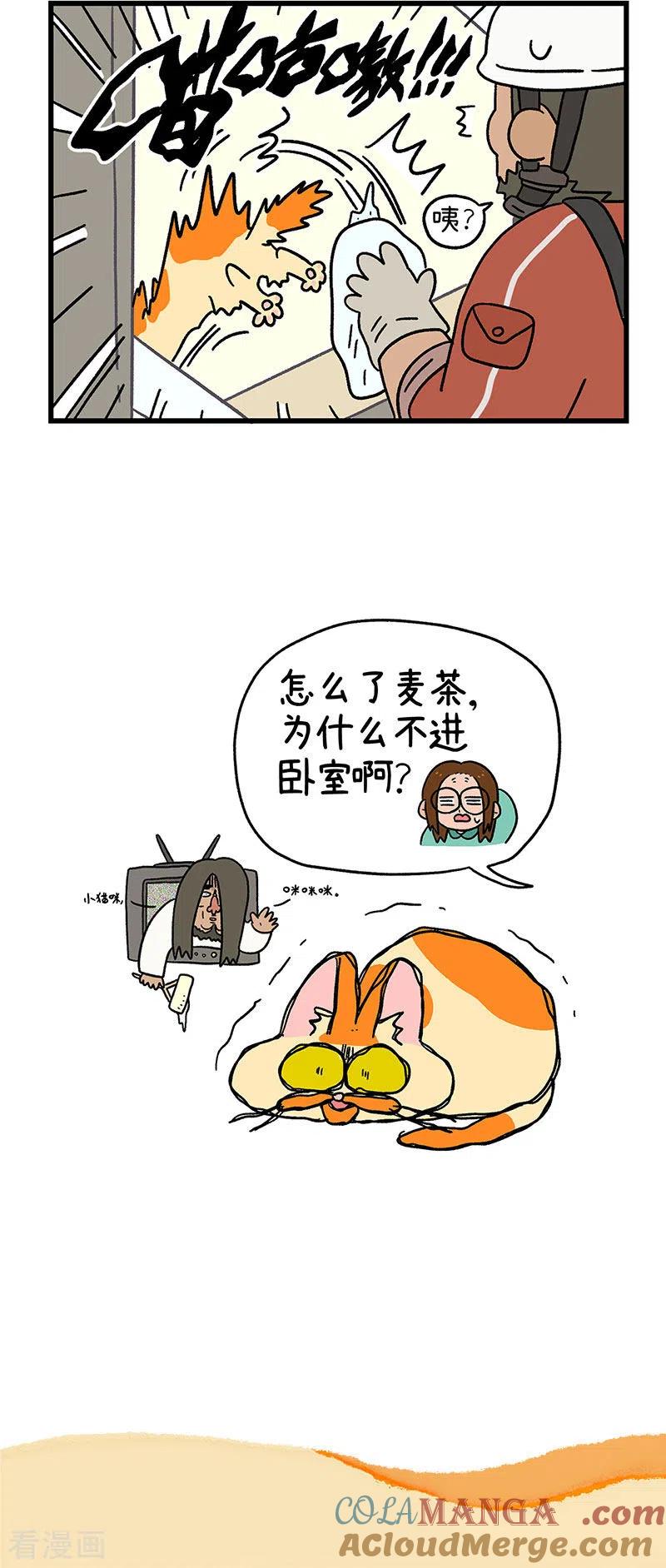 第54话窗外怪影-阿满和麦茶-新漫画 日胖大海寺（第6张）