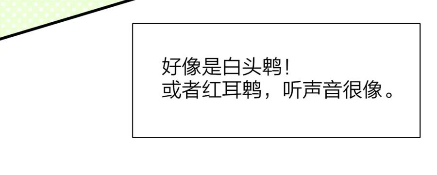 96.jpg
