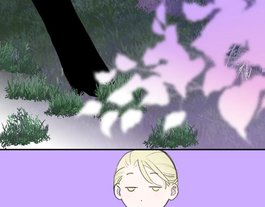 91.jpg