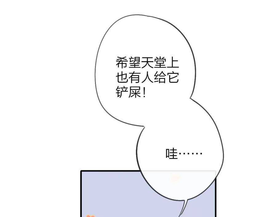 91.jpg