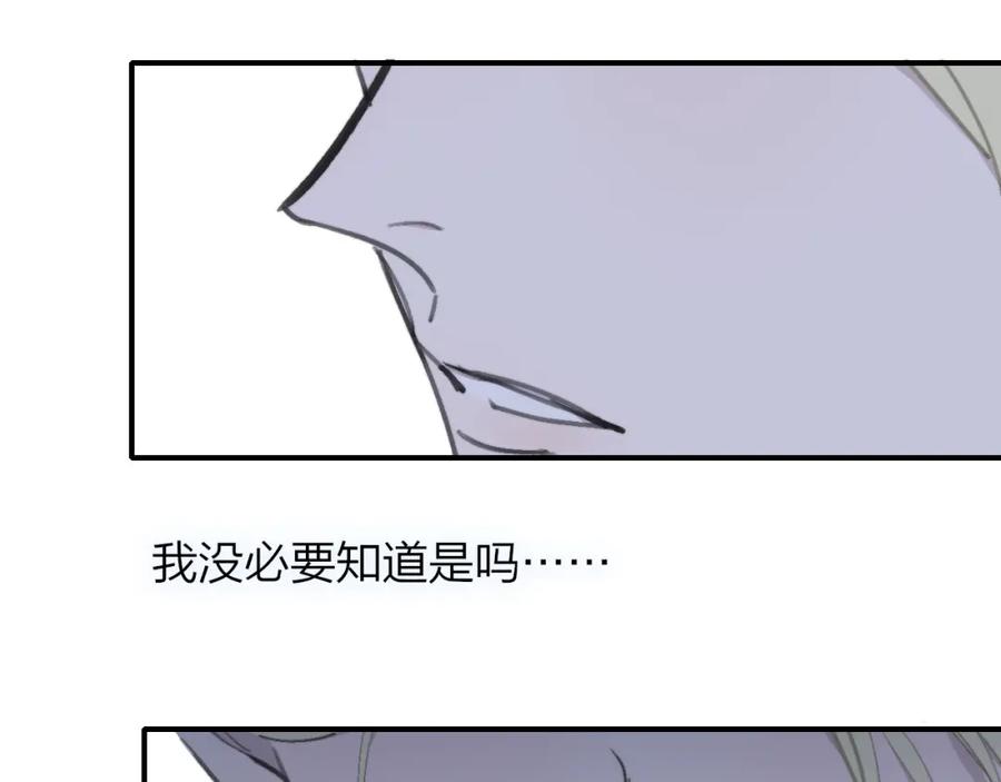 96.jpg