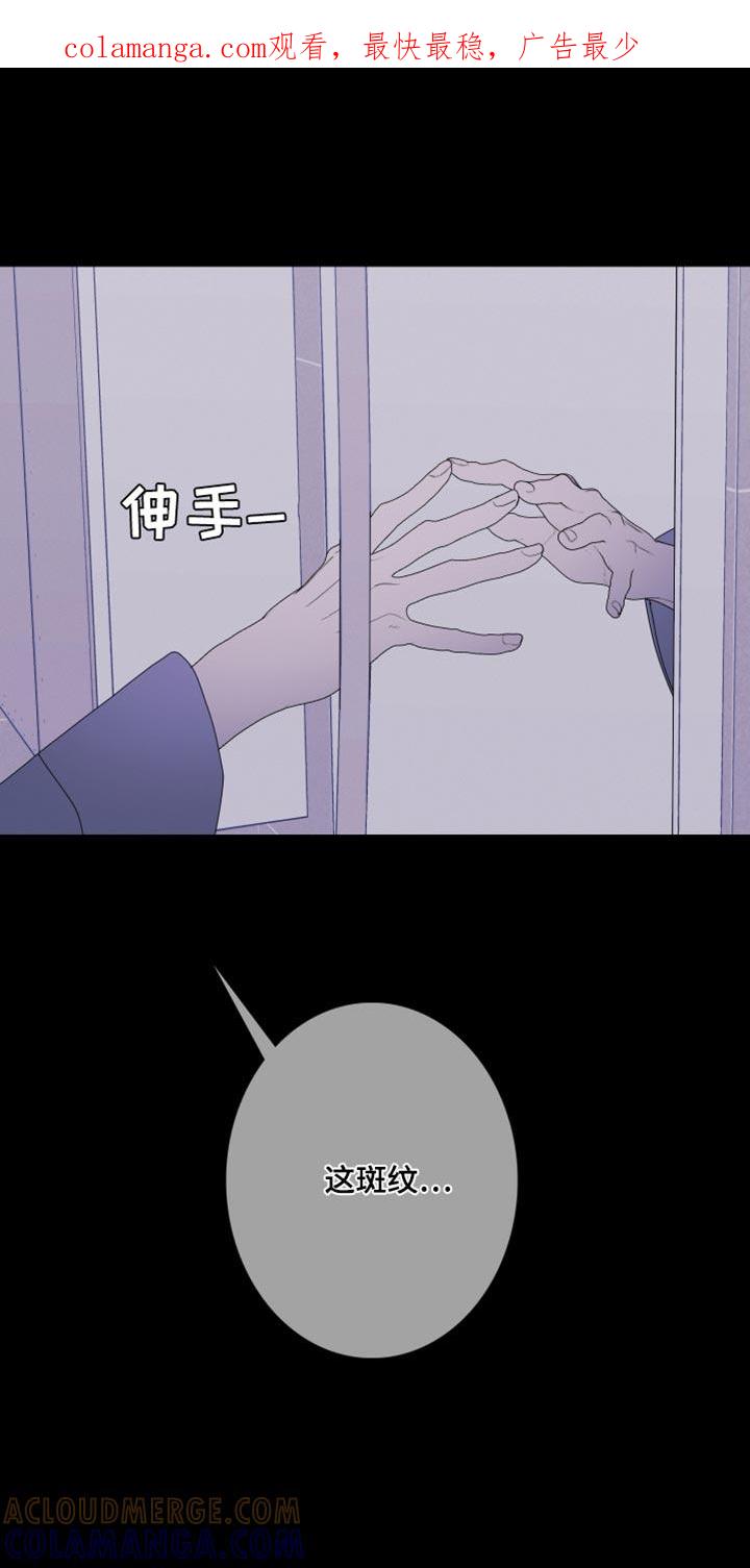 第103章：【第二季】斑纹-鬼门关-MEL（第1张）