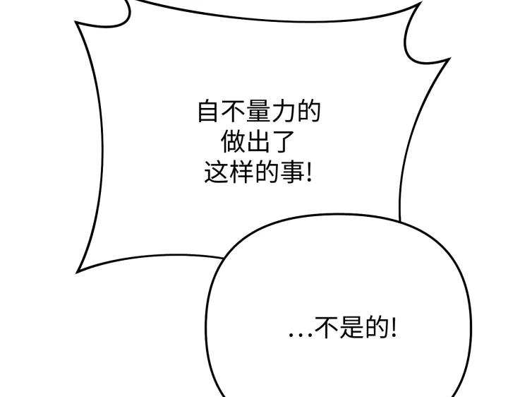 243.jpg