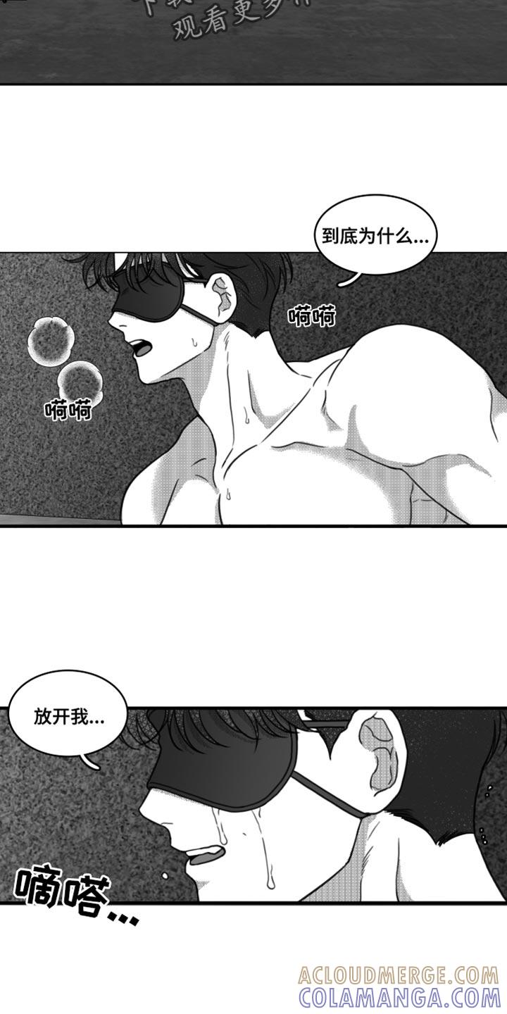 第24章：他到底恨我什么-疯狂禁锢-eiaoheba（第11张）