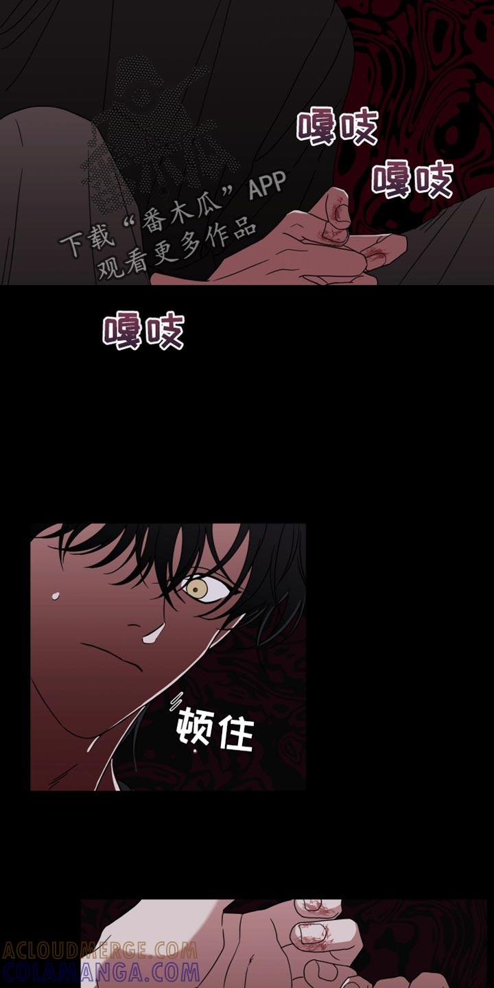 第56章：【第二季】你家有谁在吗？-疯狂禁锢-eiaoheba（第11张）