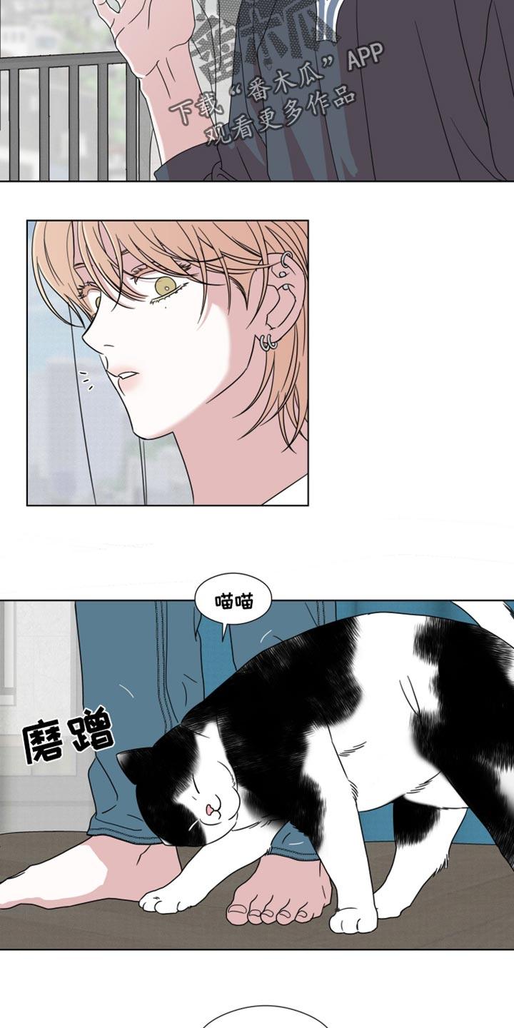 第58章：【第二季】一模一样-疯狂禁锢-eiaoheba（第8张）