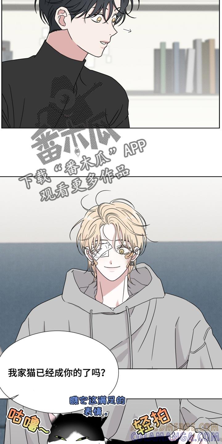 第63章：【第二季】摔倒受伤-疯狂禁锢-eiaoheba（第13张）