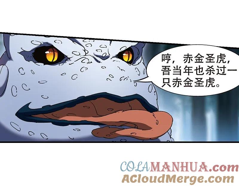 11.jpg