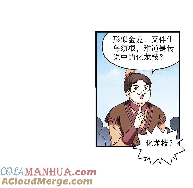 13.jpg