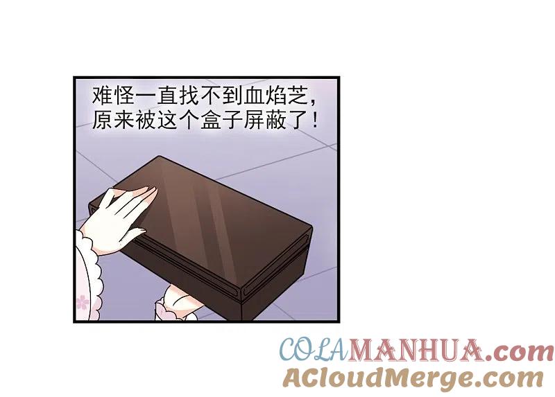 21.jpg