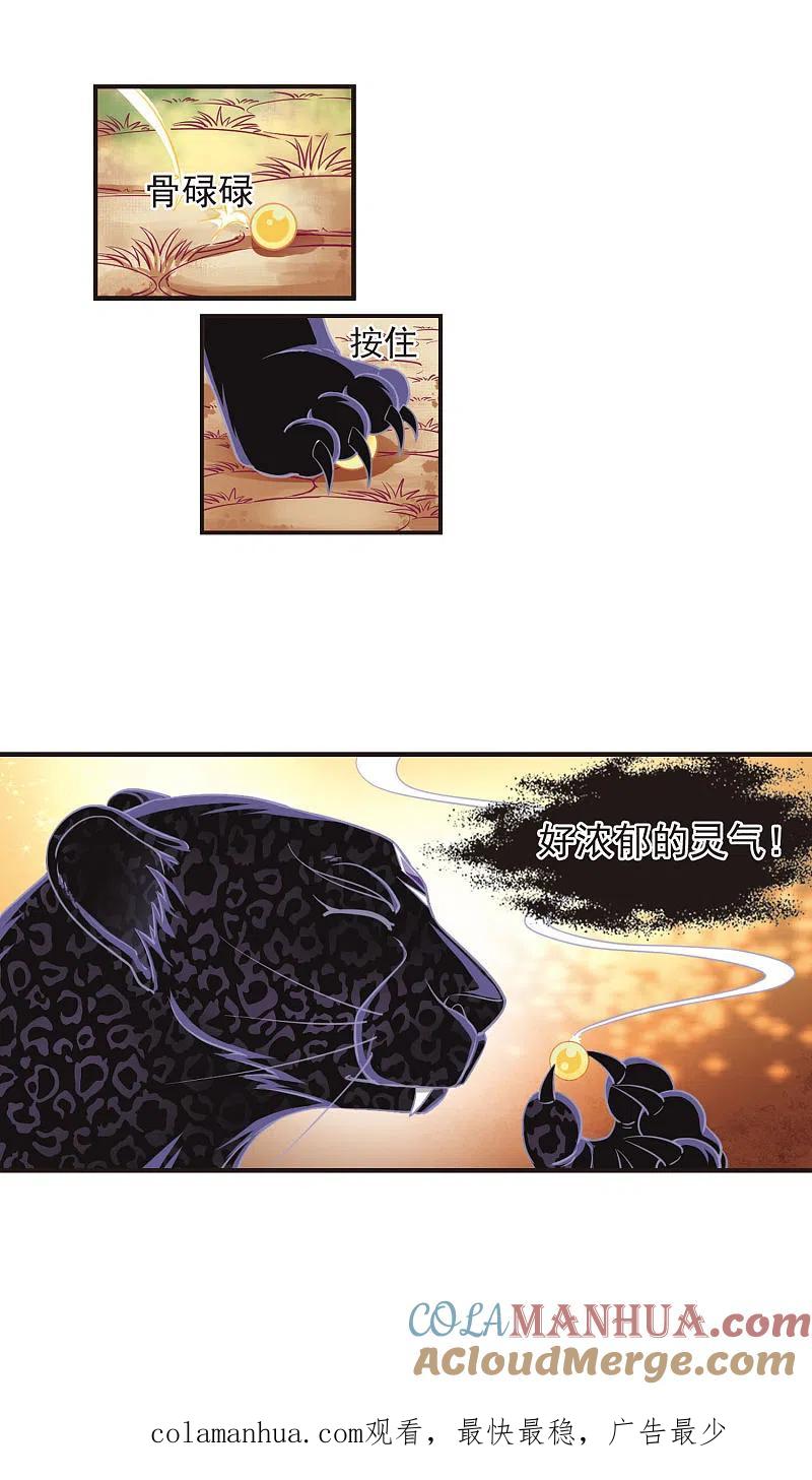 15.jpg