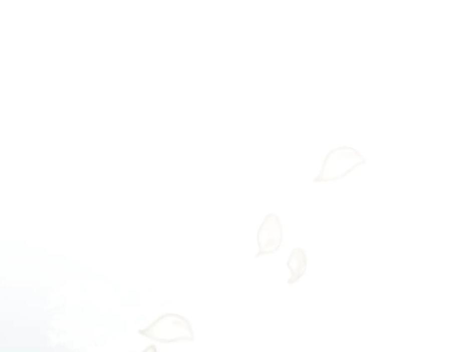 95.jpg