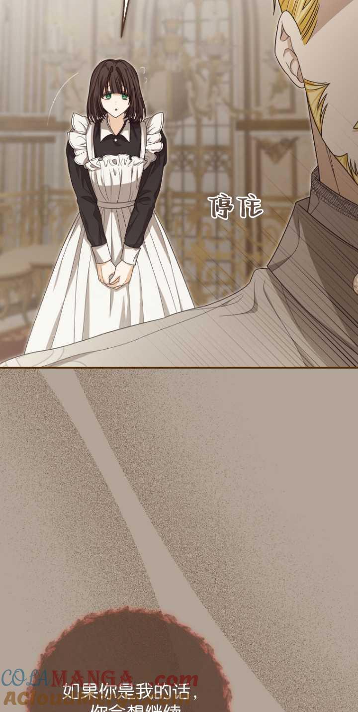 52.jpg