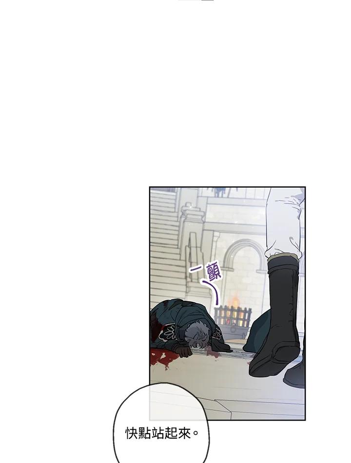 44.jpg