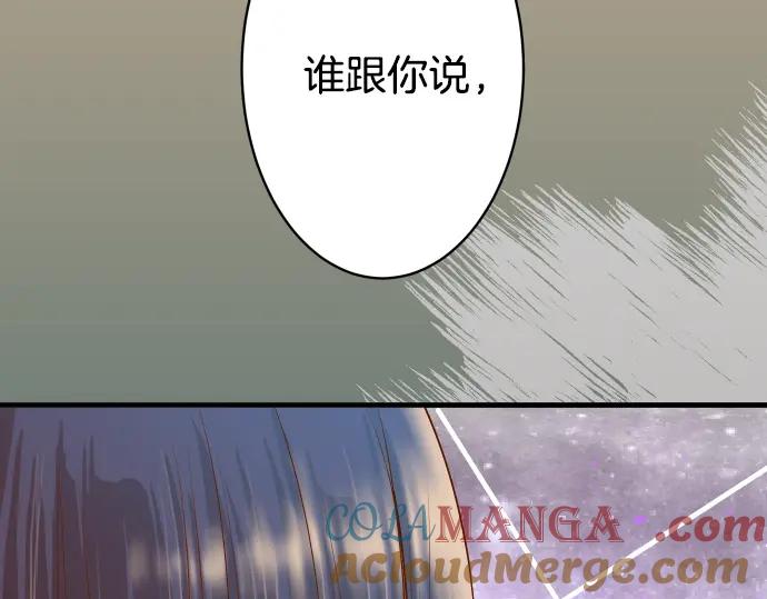 91.jpg
