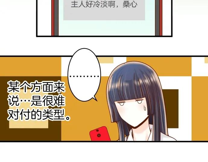 41.jpg