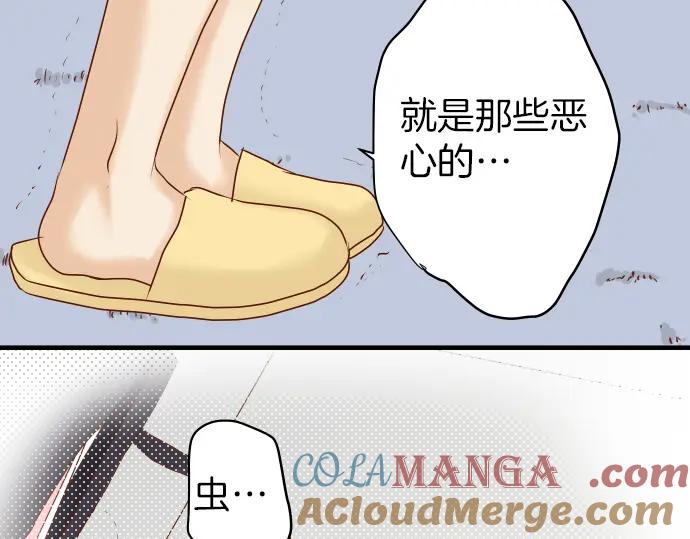 70.jpg