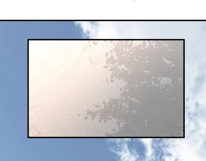 80.jpg