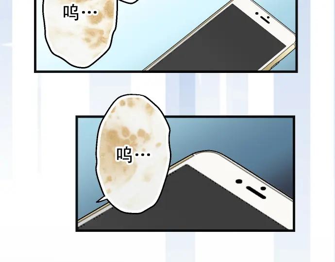 77.jpg