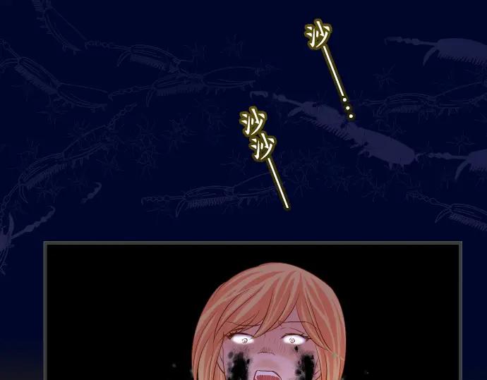53.jpg