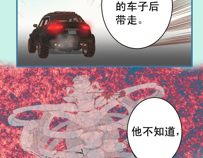 29.jpg