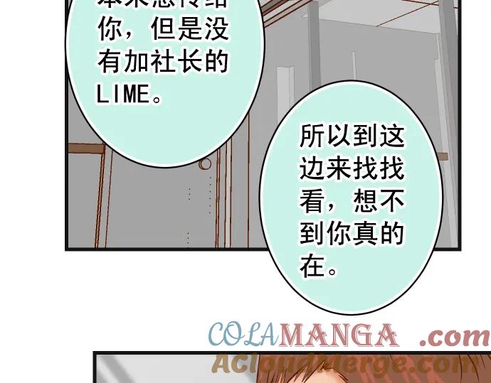 73.jpg