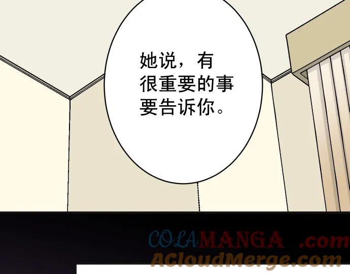 97.jpg
