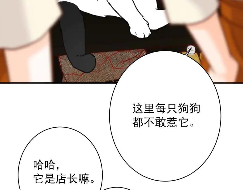 94.jpg