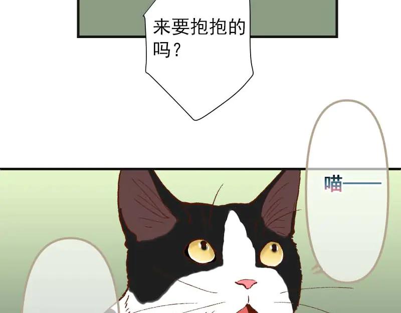 92.jpg